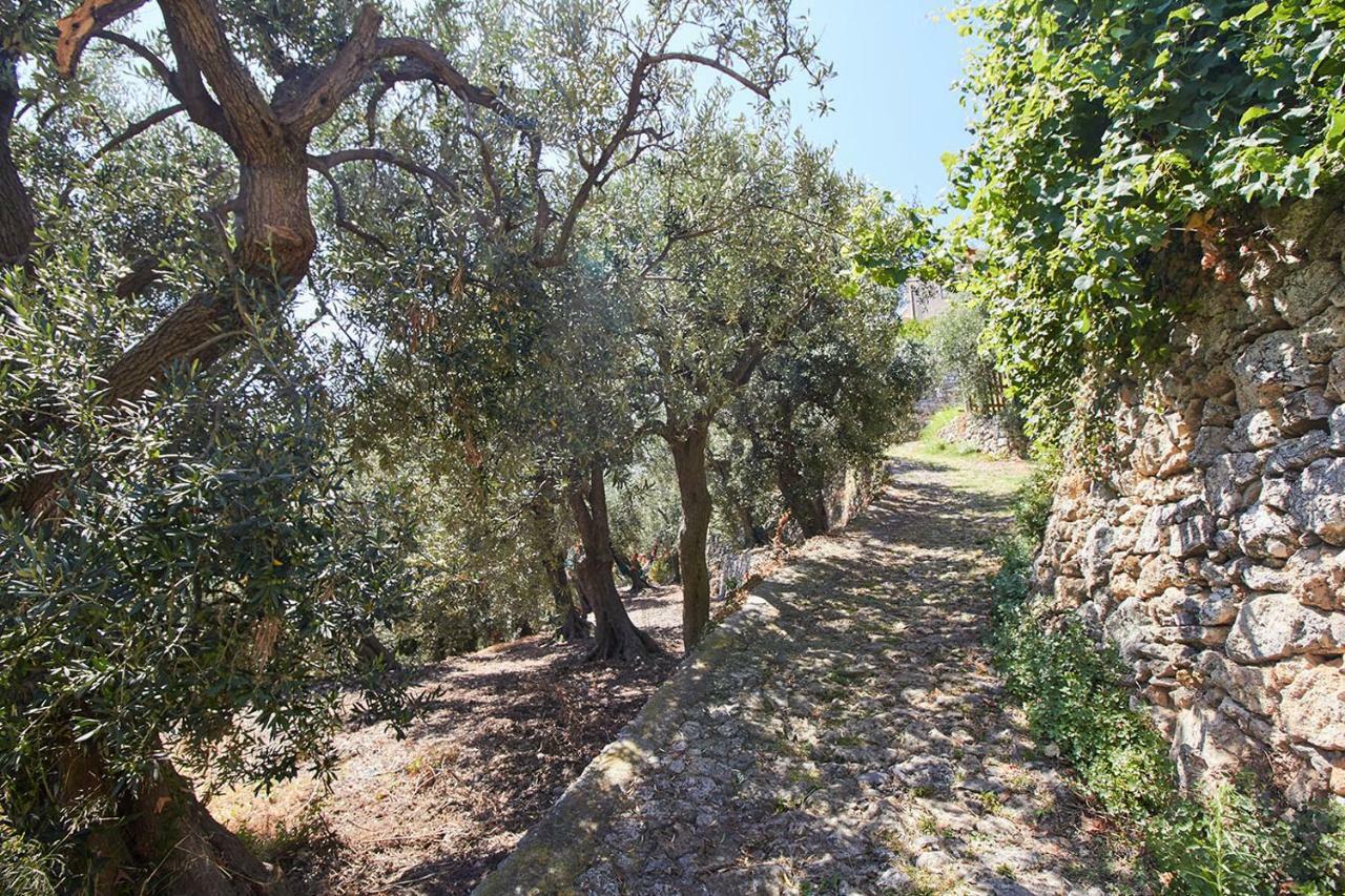 Villa Vista Mare Il Cipressetto Varigotti Dış mekan fotoğraf